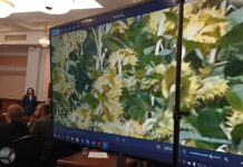 В Верховном суде юрист «Яблока» доказал наличие подписи фотографа на сайте партии — зал отреагировал аплодисментами