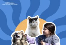 Коворкинг котикам, незастроенная Куршская коса калининградцам, бурятский язык иркутянам