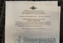 В Тобольске к организатору митинга за честные выборы пришли сотрудники центра «Э»